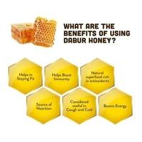 Dabur 100% Pure Honey - Worlds No.1 Honey Brand With No Sugar Adulteration, 500 g - 500 gms