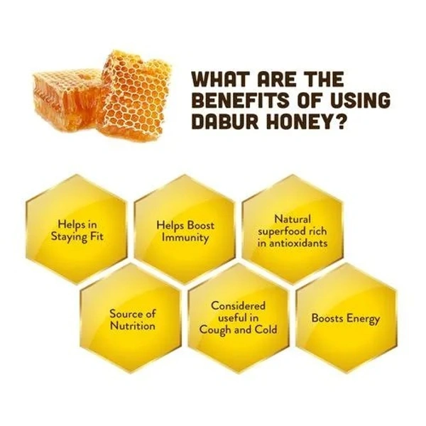 Dabur 100% Pure Honey - Worlds No.1 Honey Brand With No Sugar Adulteration, 500 g - 500 gms