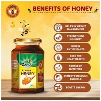Zandu Pure Honey - No Added Sugar, 250 g - 250 GMS