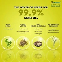 Himalaya Wellness Hand Sanitizer - Pure Hands, 500 ml - 500 ml, Lemon