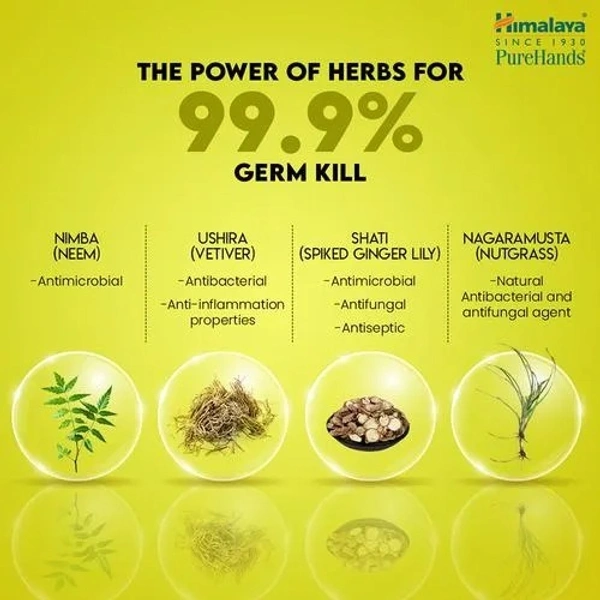 Himalaya Wellness Hand Sanitizer - Pure Hands, 500 ml - 500 ml, Lemon