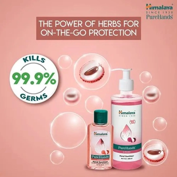 Himalaya Wellness Pure Hands Hand Sanitizer  Gel 100 ml - 100 ml, Litchi