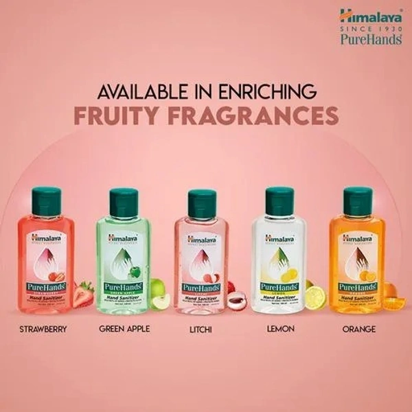 Himalaya Wellness Pure Hands Hand Sanitizer  Gel 100 ml - 100 ml, Litchi
