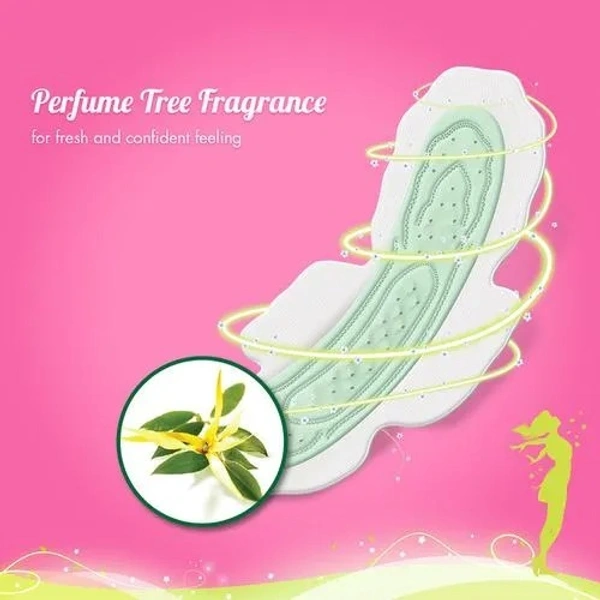Sofy Anti-Bacteria Sanitary Pad - Extra-Long, Prevents Leakage, Slim, 48 pcs - Slim, 48 PCS