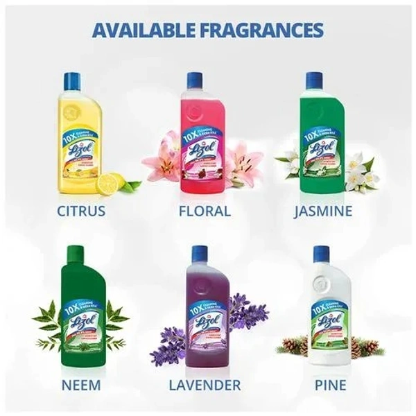 Lizol Citrus Disinfectant Floor Cleaner 625 ml - 625 ml, citrus
