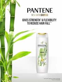PANTENE Advanced Hairfall Solution with Bamboo Shampoo  (650 ml) - 650 ml