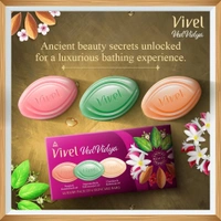 Vivel VedVidya Luxury Pack of 6
