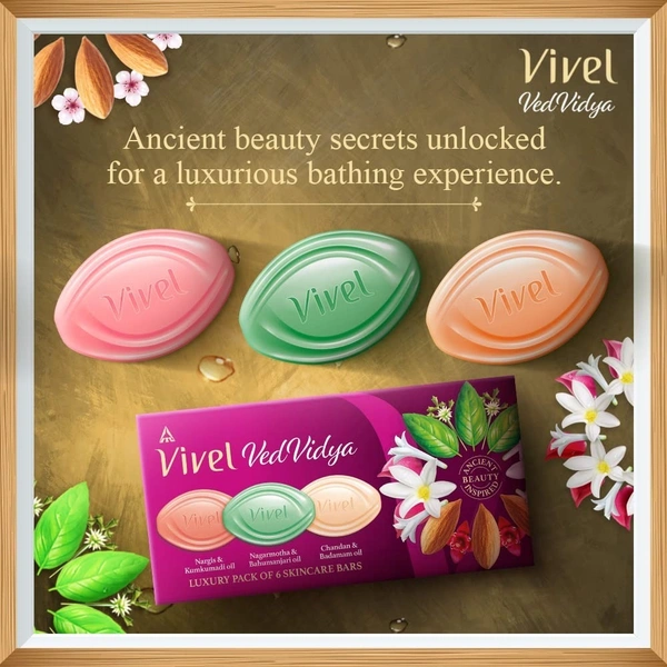 Vivel VedVidya Luxury Pack of 6