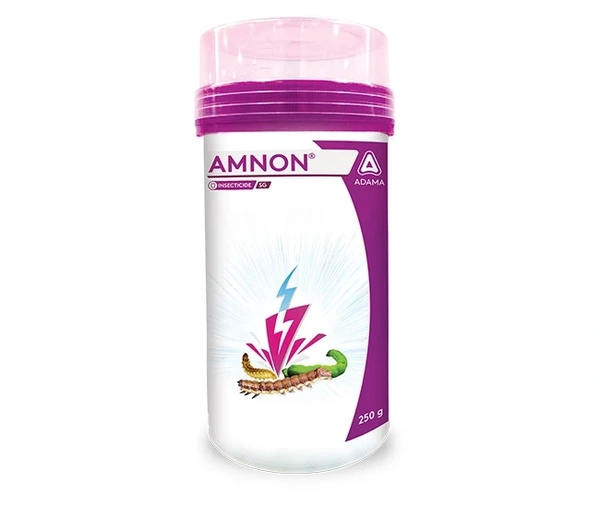 Amnon  - 100gm