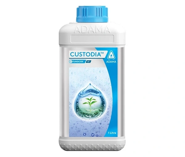 Custodia  - 100ml