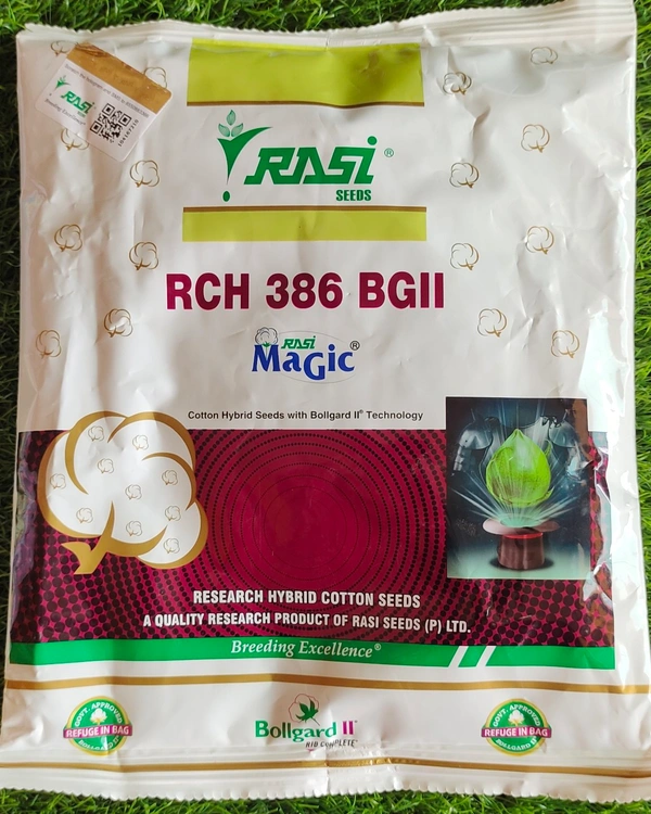 Rashi 386 - 475gm