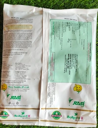 Rashi 386 - 475gm