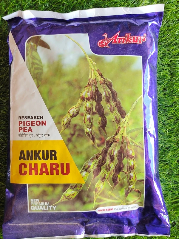 Charu (Ankur) - 1kg