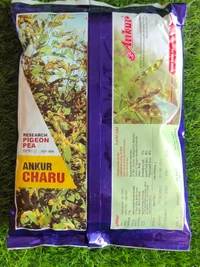 Charu (Ankur) - 1kg