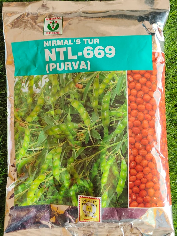 Purva (Normal) - 1kg