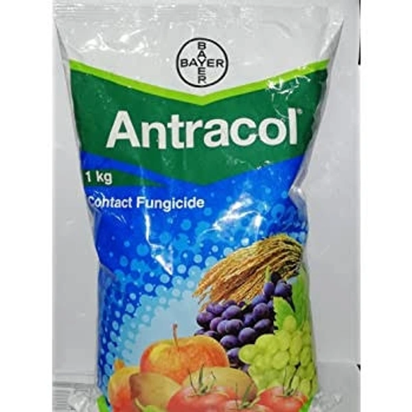 BAYER Antracol - 100g