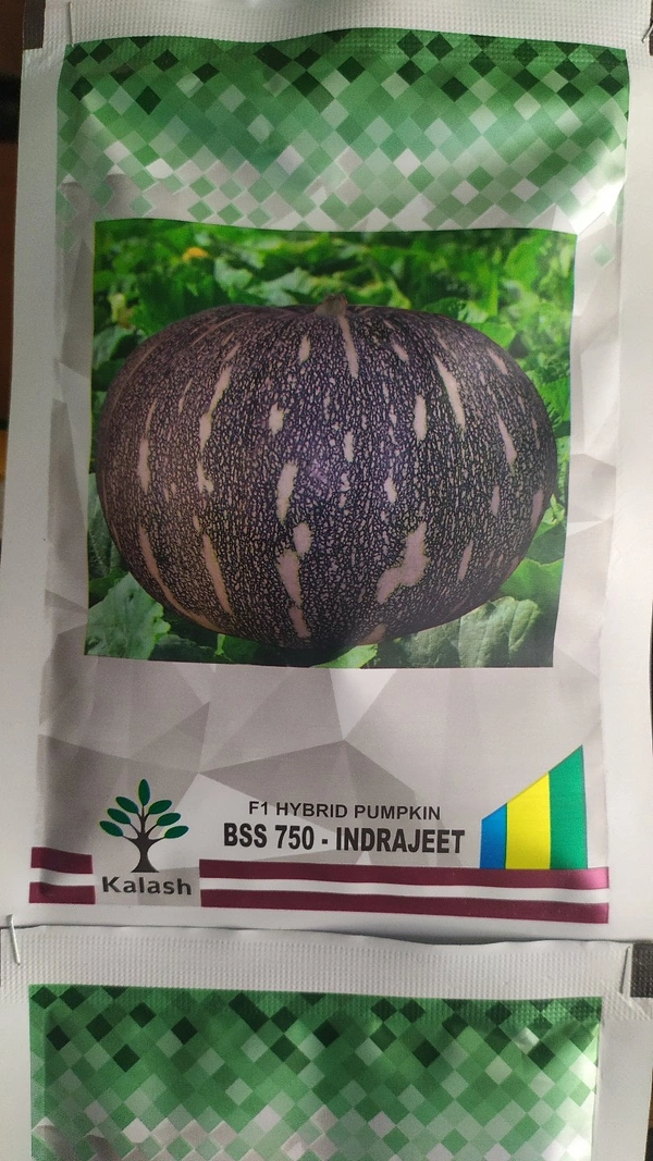 KALASH SEEDS Pumpkin Indrajeet - 50g
