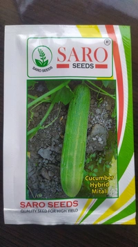 SARO SEEDS Mitali - 10g