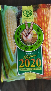 KAVERI SEEDS Super 2020 - 1kg