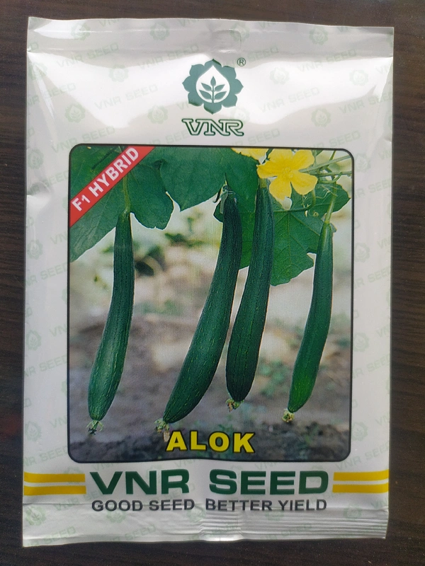 VNR SEEDS ALOK - 50g