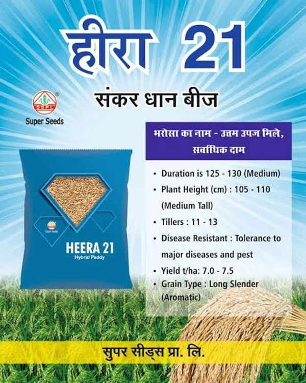 SUPER SEEDS HEERA 21 - 3kg