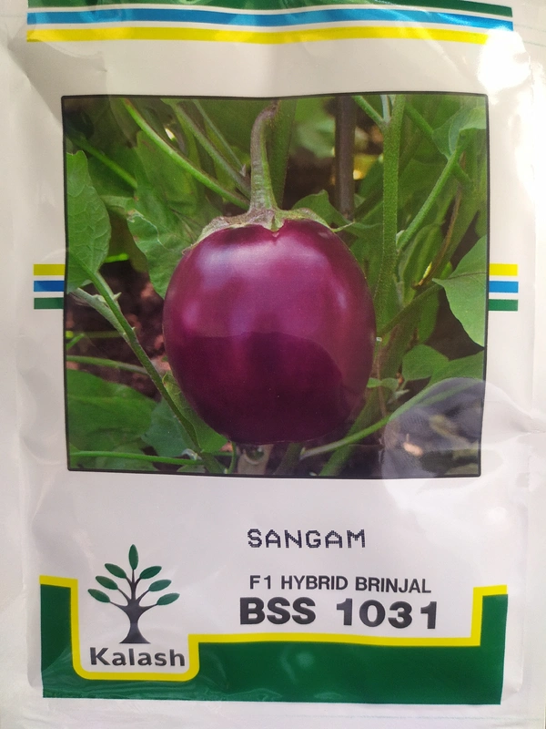 KALASH SEEDS SANGAM - 10g
