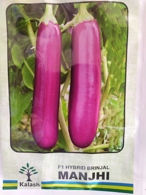 KALASH SEEDS MANJHI - 10g