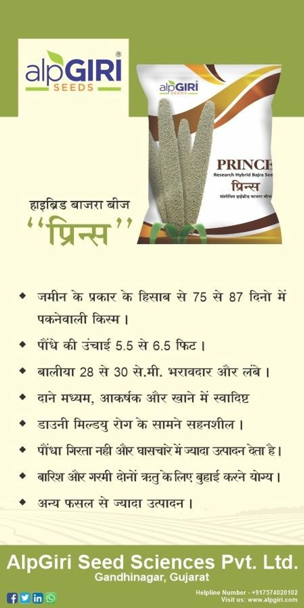 alpGIRI PRINCE - 1.5kg