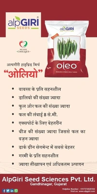 alpGIRI OLEO - 10g