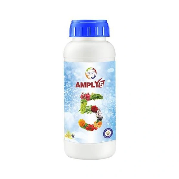 PRIVI AMPLY 5 - 100ml