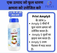 PRIVI AMPLY 5 - 100ml