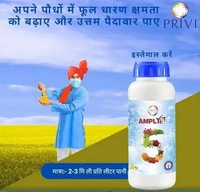 PRIVI AMPLY 5 - 100ml