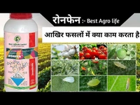 Best Agrolife Limited  RONFEN - 100ml