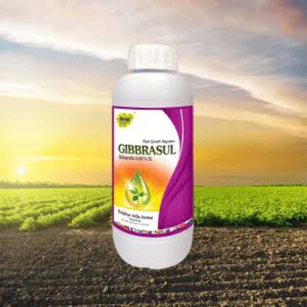 Reap GIBBRASUL - 100ml