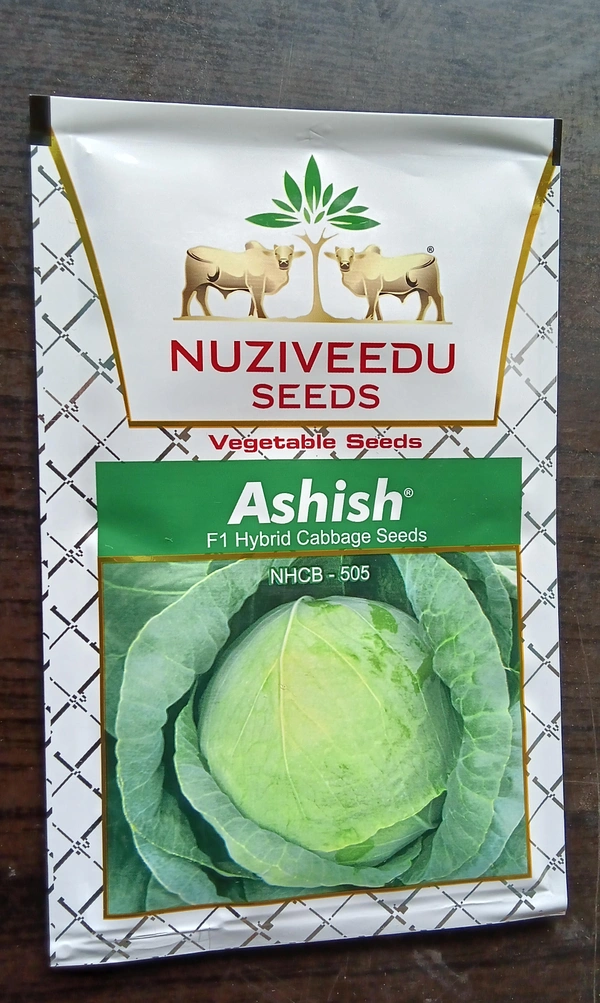 NUZIVEEDU SEEDS Ashish 