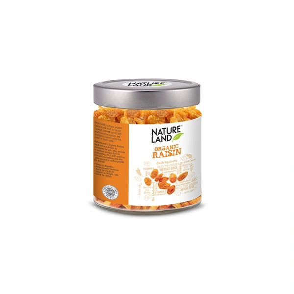 Nature Land Organics Raisins 250 GM - 250 GM