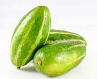 Apna Fresh Pointed Gourd (Patal) - 1Kg, Green
