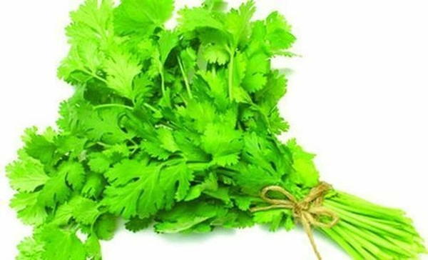 Apna Fresh Coriander Bunch (ধনে পাতা) - 100 Gm, Green