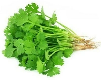 Apna Fresh Coriander Bunch (ধনে পাতা) - 100 Gm, Green