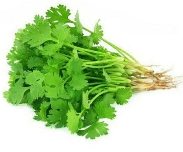 Apna Fresh Coriander Bunch (ধনে পাতা) - 100 Gm, Green