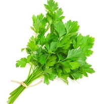 Apna Fresh Coriander Bunch (ধনে পাতা) - 100 Gm, Green
