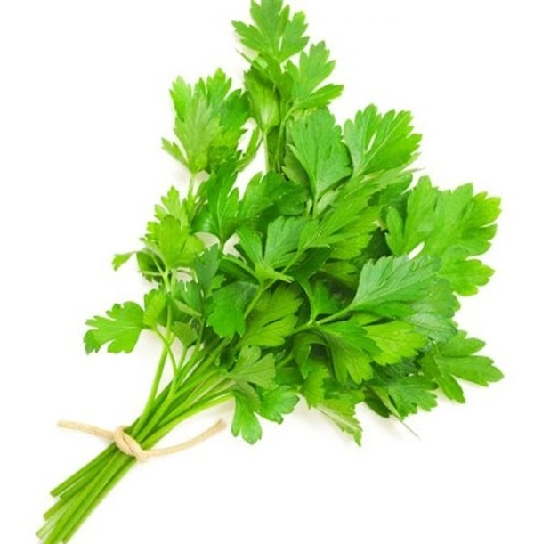 Apna Fresh Coriander Bunch (ধনে পাতা) - 100 Gm, Green
