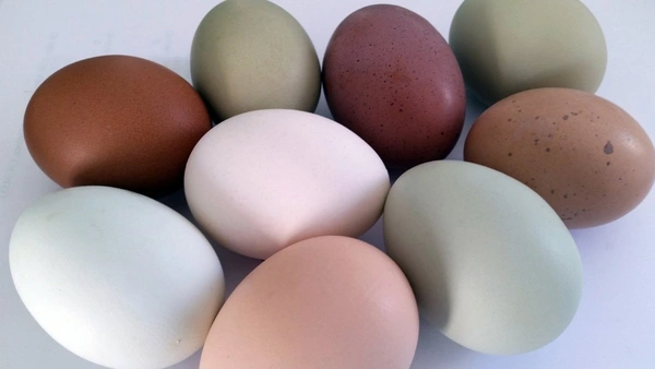 Apna Farm Fresh White Eggs - Pack of 6, Brown