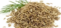 Apna Whole Cumin Seeds (গোটা জিরা) - 50 Gm