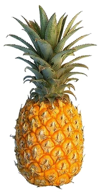 Pineapple (আনারস)  - 1 Unit (950 Gm - 1200 Gm), Green-Gray To Yellow