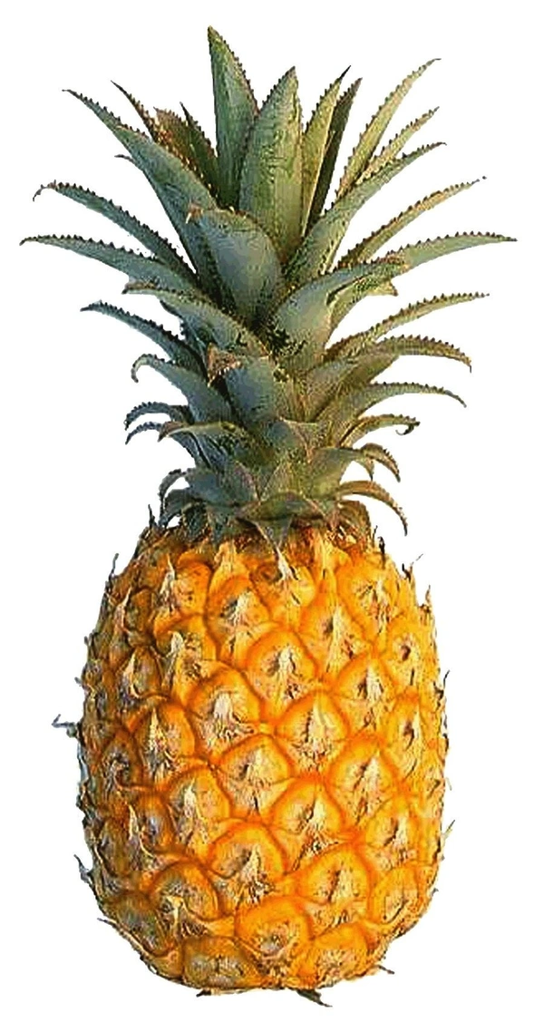 Pineapple (আনারস)  - 1 Unit (950 Gm - 1200 Gm), Green-Gray To Yellow