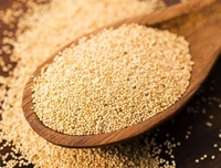 Apna Choice Poppy Seed (পোস্ত) - 100 Gm
