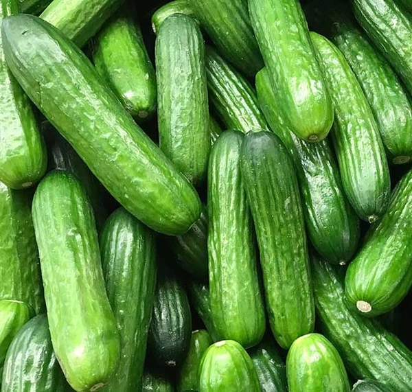 Apna Fresh Cucumber (Kheera) - 1 Kg, Green 
