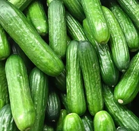 Apna Fresh Cucumber (Kheera) - 500 Gm, Green