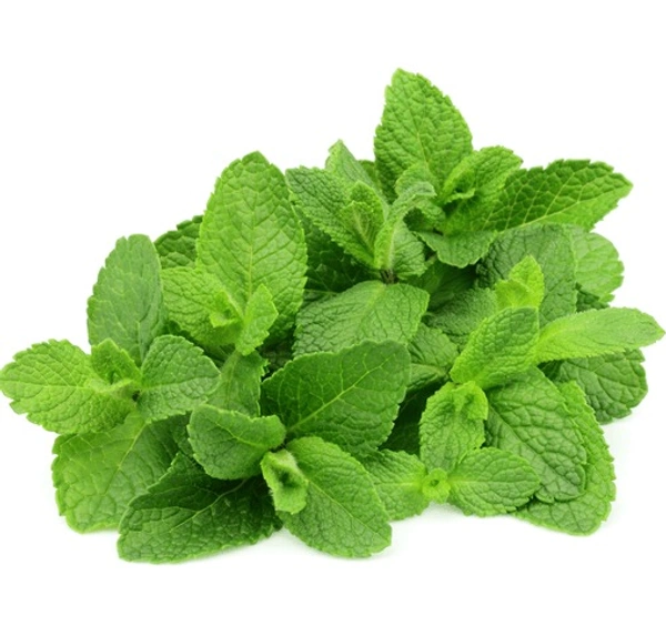 Apna Fresh Mint Leaves (পুঁদিনা পাতা) - 100gm, Green 